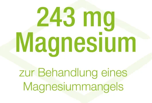 Magnesiocard Forte 10 Mmol Pulver 20 Beutel