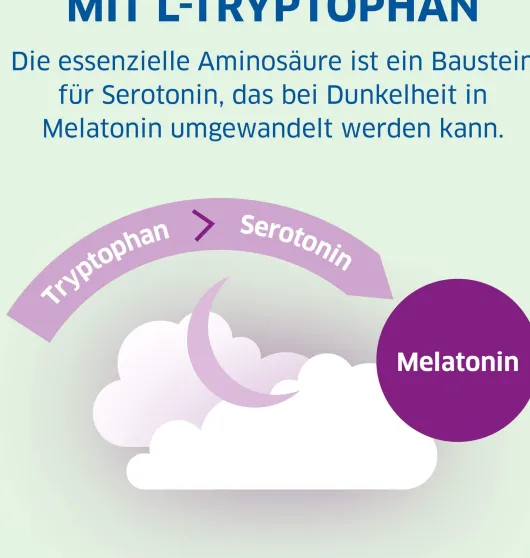 Magnesium Diasporal pro Depot Schneller Einschlafen 30 Tabletten