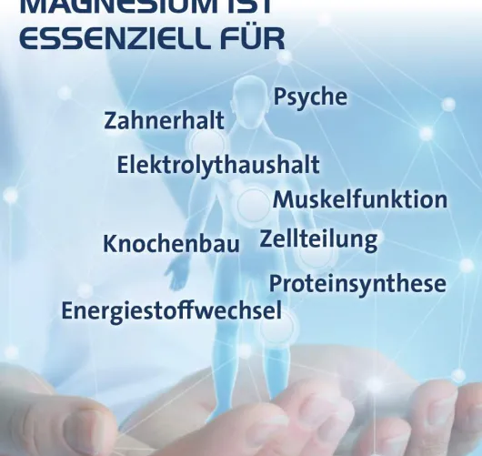 Magnesium Hevert Organic 7 120 Kapseln