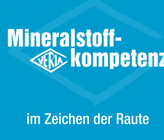 Magnesium Verla Brausetabletten 20 Stück