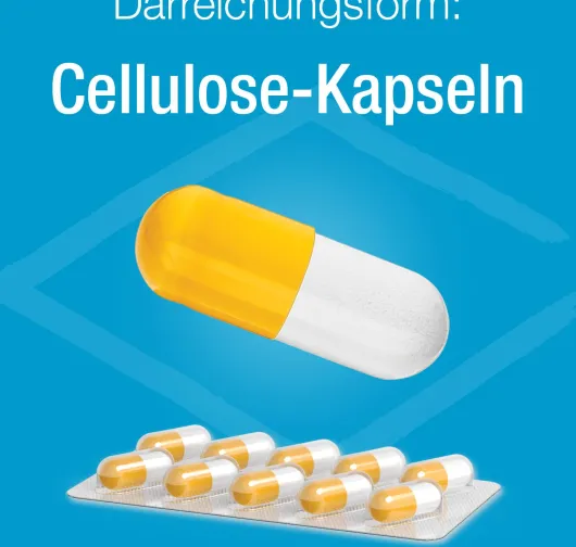 Magnesium Verla 400 30 Kapseln