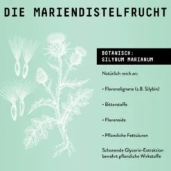 Mariendistel Früchte Extrakt Tropfen alkoholfrei 100 ml