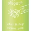 medipharma cosmetics Olivenöl 4,8 g Lippenpflegestift