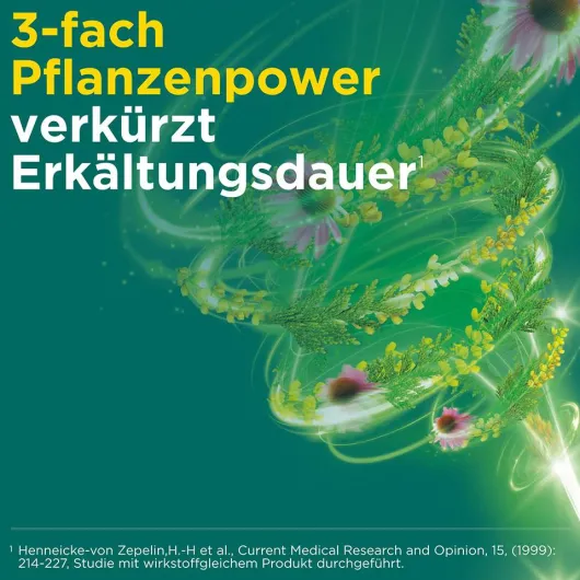 Meditonsin Extract pflanzliche Erkältungstabletten 20 Stück