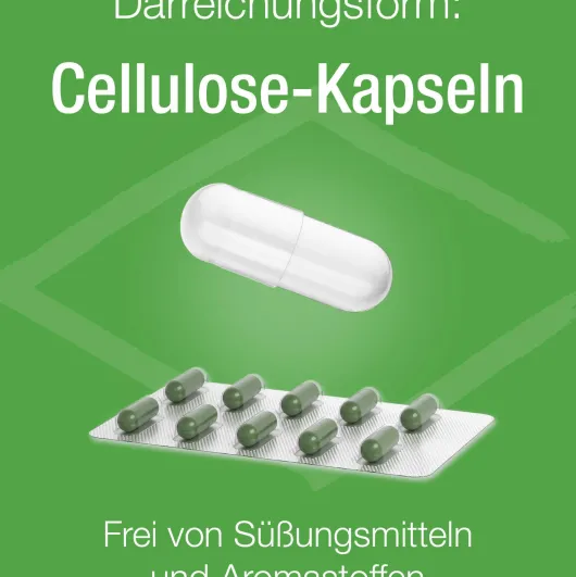 Melisse Verla Purkaps 60 Kapseln