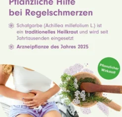 MenoLind BEH Pharma 250 mg 60 Filmtabletten