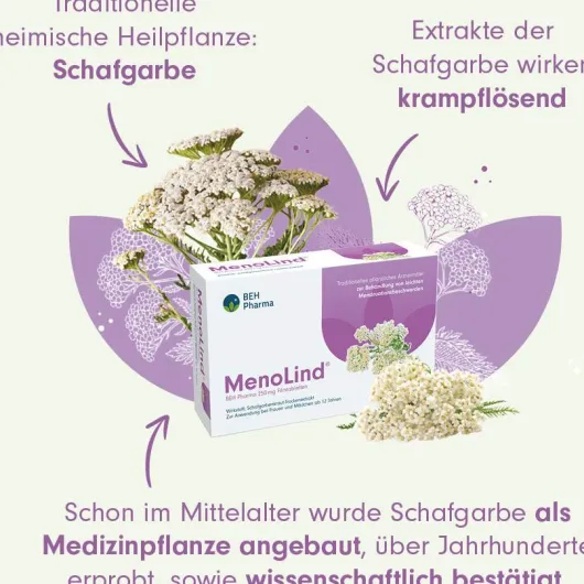 MenoLind BEH Pharma 250 mg 30 Filmtabletten