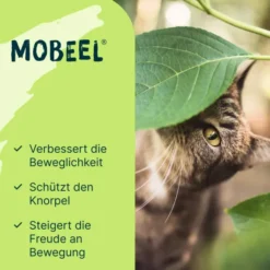 Mobeel Pulver für Hund und Katze 150 g