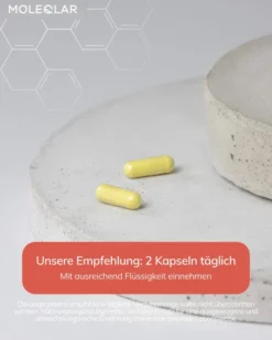Moleqlar Fisetin Flavonoid Extract 60 Kapseln