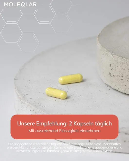 Moleqlar Fisetin Flavonoid Extract 60 Kapseln