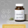 MoleQlar Longevity Spermidin PRO 60 Kapseln