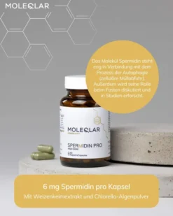 MoleQlar Longevity Spermidin PRO 60 Kapseln
