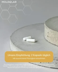 Moleqlar Tmg Betain-Anhydrat 60 Kapseln