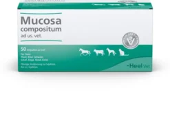 Mucosa Compositum Ad Us.Vet. 50 X 5 ml Ampullen