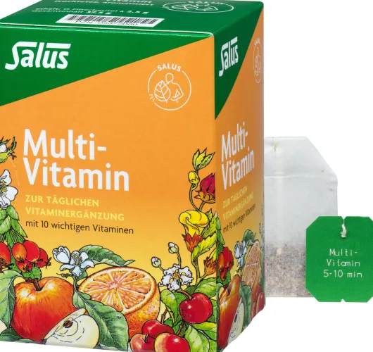 Multi-Vitamin Früchtetee Salus 15 Filterbeutel