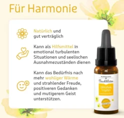 Murnauer Bachblüten Original Tropfen nach Dr.Bach 20ml