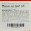 Musculus Suis Injeele Forte