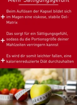 N1 Appetitzügler Kapseln Forte 42 Kapseln