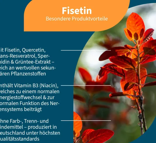 NatuGena Fisetin 90 Kapseln