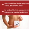 N1 Durchfall Kapseln 30 Stück