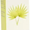Nemasabal 50 ml Tropfen