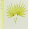Nemasabal 100 ml Tropfen