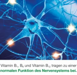 Neurologes Concept 30 Kapseln