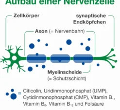 Neurologes Concept 30 Kapseln