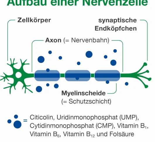 Neurologes Concept 30 Kapseln