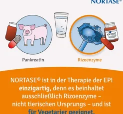 Nortase 50 Kapseln