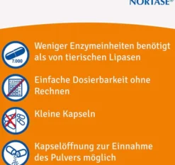 Nortase 50 Kapseln