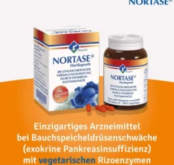 Nortase 50 Kapseln