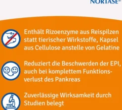 Nortase 50 Kapseln