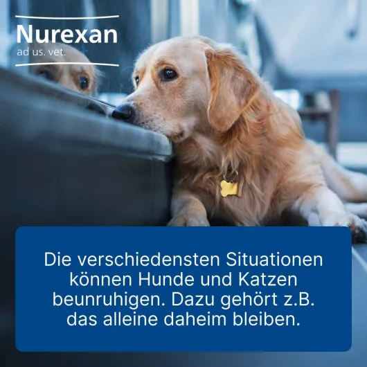 Nurexan Ad Us. vet. 100 Tabletten