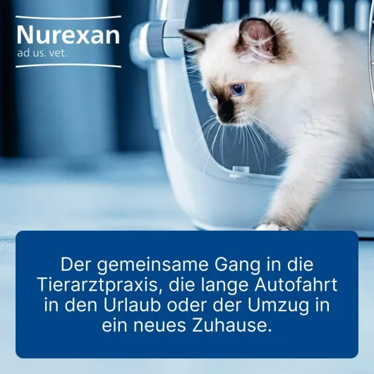 Nurexan Ad Us. vet. 500 Tabletten
