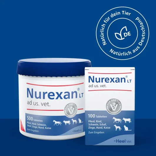 Nurexan Lt Ad Us.Vet. 100 Tabletten