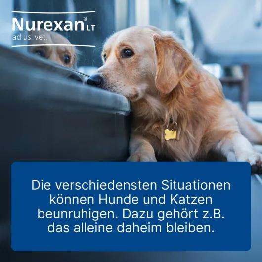 Nurexan Lt Ad Us.Vet. 500 Tabletten
