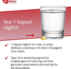 Omega 3 Fettsäuren 500 mg Kapseln 60 Kapseln