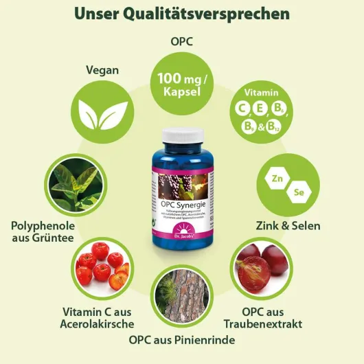 Opc Synergie Dr.Jacob s Kapseln