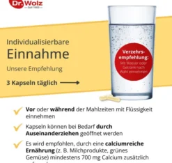 Osteo Coral D3 Dr.Wolz 60 Kapseln