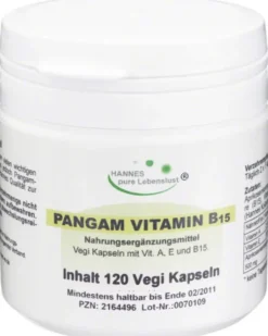 Pangam Vitamin B15 120 Kapseln