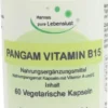 Pangam Vitamin B15 60 Kapseln