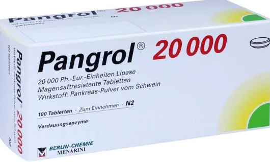 Pangrol 20000 Filmtabletten 100 Magensaftresistente Tabl.