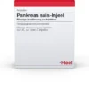 Pankreas Suis Injeel 10 Ampullen