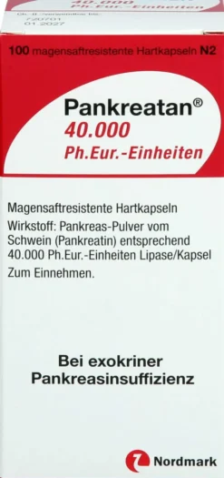 Pankreatan 40.000 Ph.Eur.-Einheiten 100 Magensaftresistente
