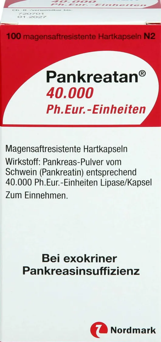Pankreatan 40.000 Ph.Eur.-Einheiten 100 Magensaftresistente