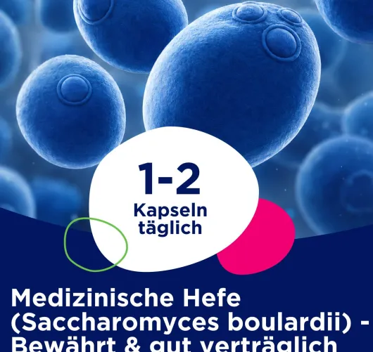 Perenterol forte 250 mg 100 Kapseln
