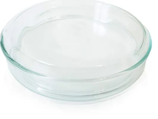 Petrischale 10cm