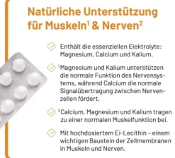 Phosetamin NE 200 Tabletten