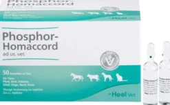 Phosphor Homaccord Ad Us.Vet. 50 Ampullen